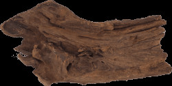 Repti Planet kořen DriftWood Bulk S 24-29cm