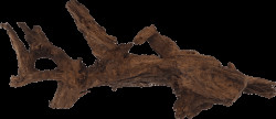 Repti Planet kořen DriftWood Bulk XL 55-100cm