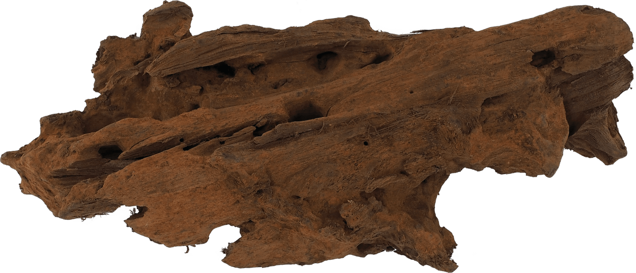 Repti Planet kořen DriftWood Bulk XS 19-23cm