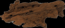 Repti Planet kořen DriftWood Bulk XS 19-23cm