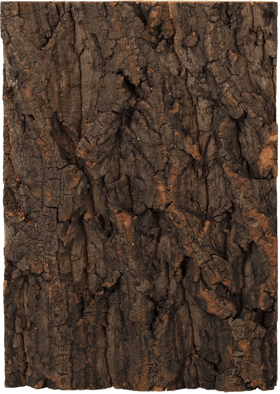 Repti Planet korkové pozadí přírodní 19x27,3cm