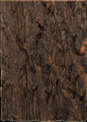 Repti Planet korkové pozadí přírodní 19x27,3cm