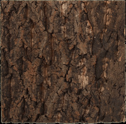 Repti Planet korkové pozadí přírodní 28,5x28cm