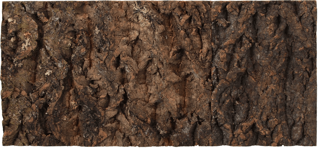 Repti Planet korkové pozadí přírodní 48,8x22,7cm