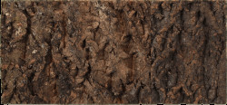 Repti Planet korkové pozadí přírodní 48,8x22,7cm