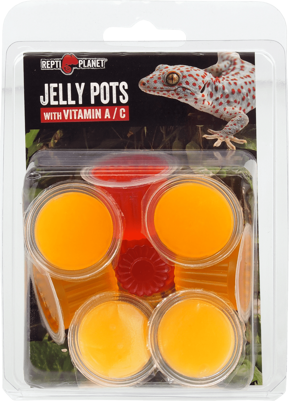 Repti Planet krmivo Jelly Pots Fruit 8ks