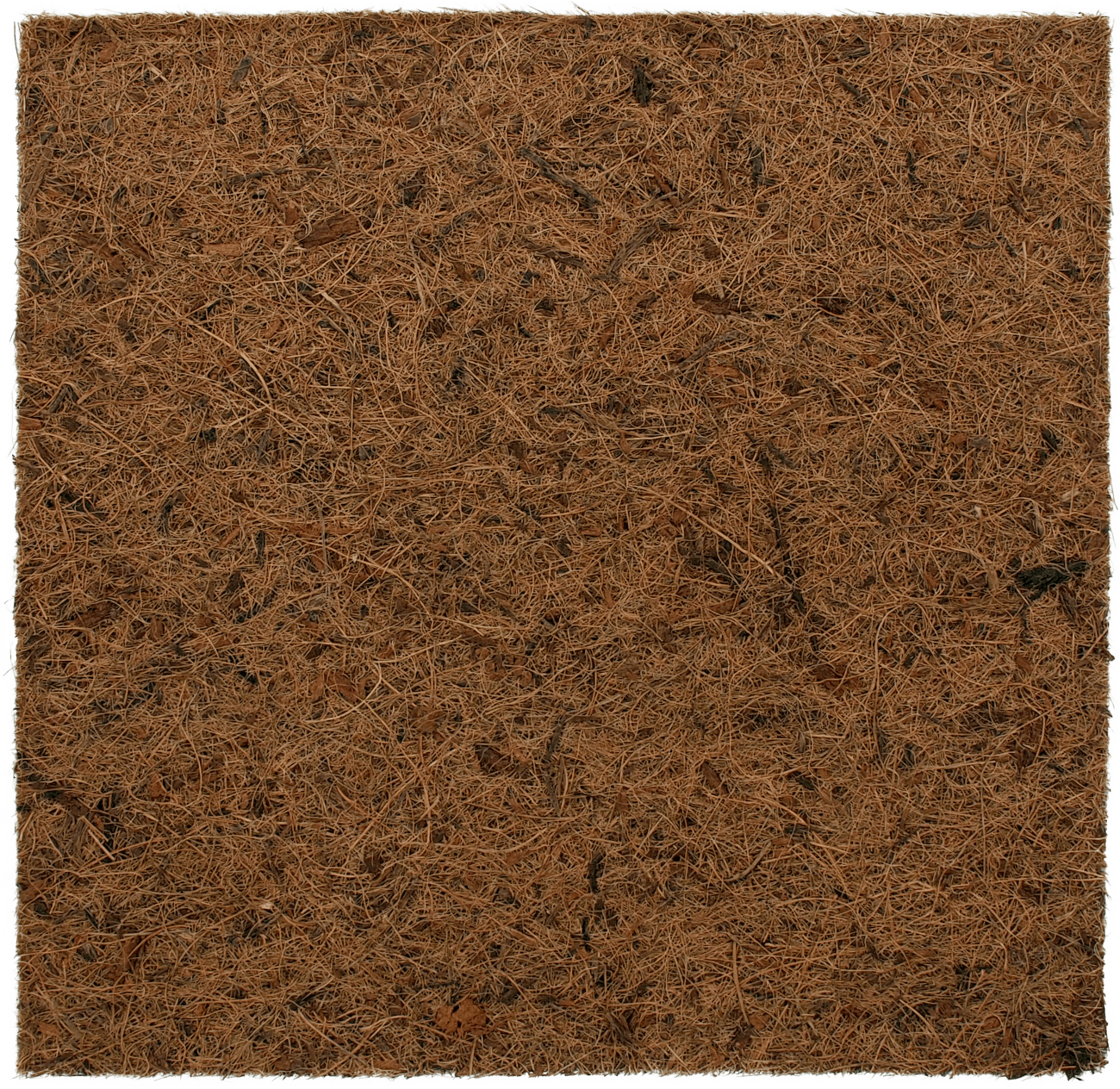 Repti Planet Pozadí Coco Pad 30x30cm