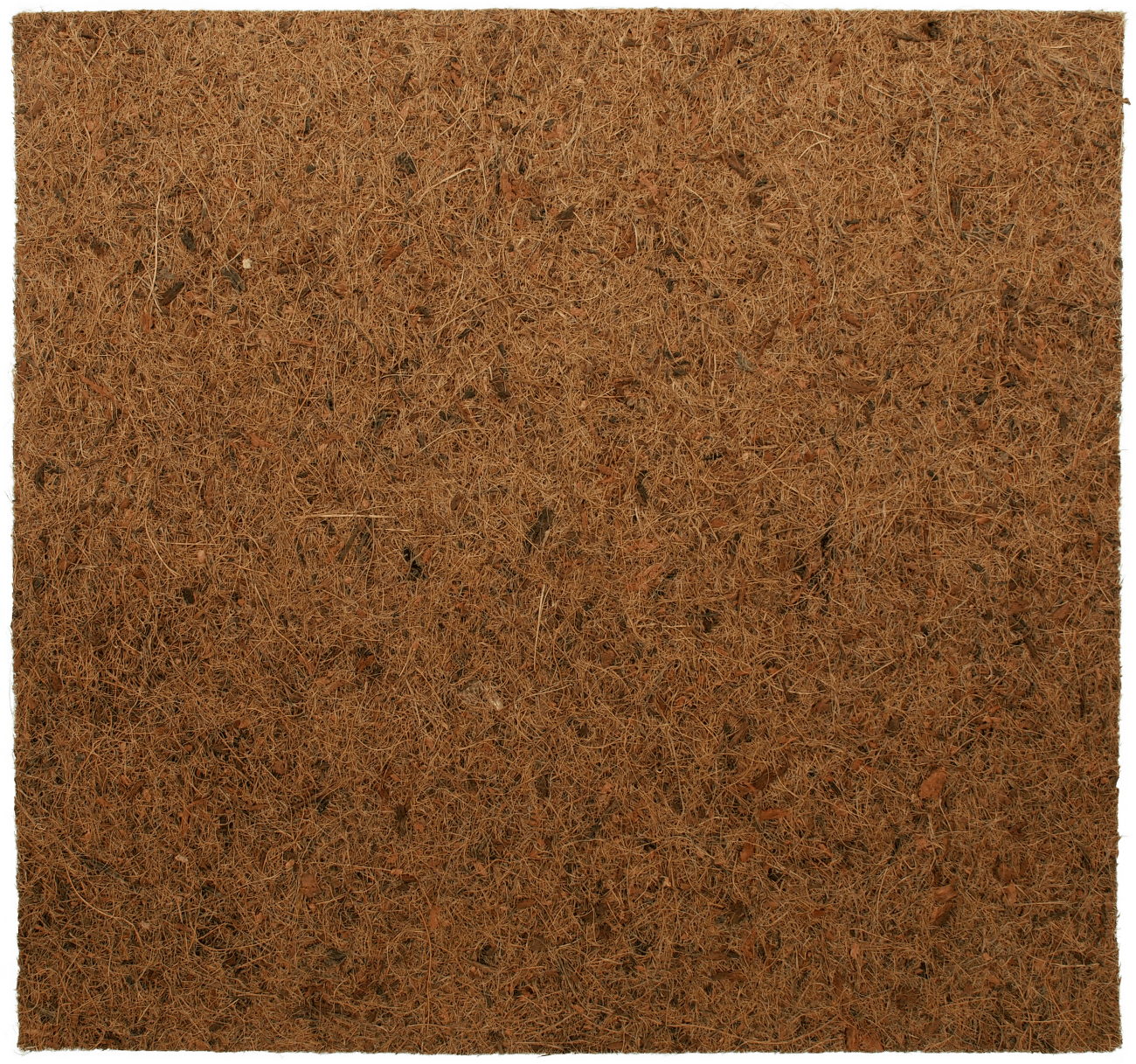 Repti Planet Pozadí Coco Pad 50x50cm