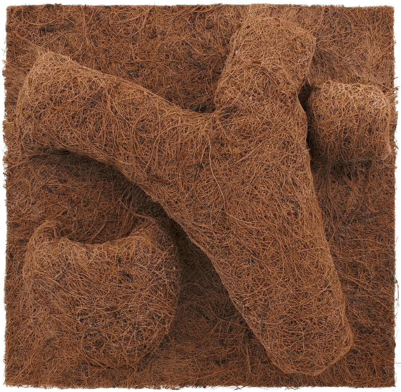 Repti Planet Pozadí Coco Planter 30x30cm
