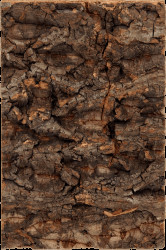 Repti Planet Pozadí korek přírodní 19x12,3cm