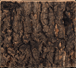 Repti Planet Pozadí korek přírodní 19x17,3cm