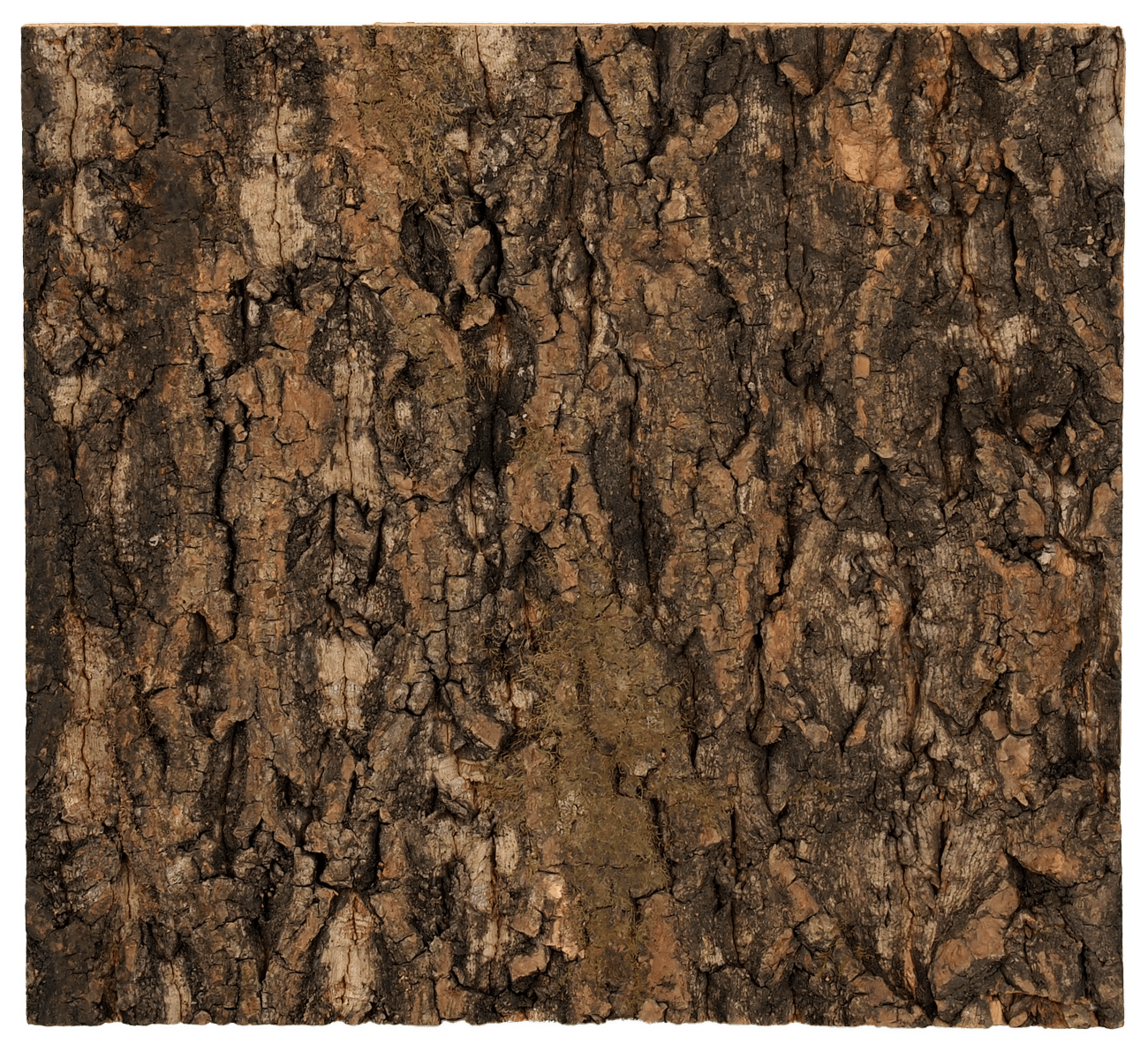 Repti Planet Pozadí korek přírodní 29x27,3cm