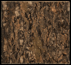Repti Planet Pozadí korek přírodní 29x27,3cm