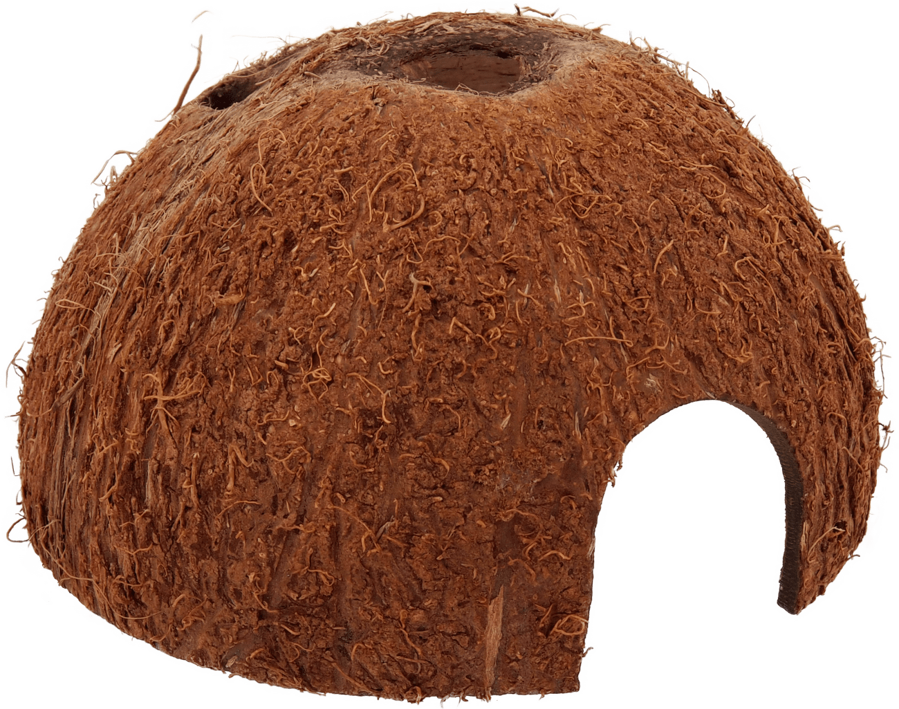 Repti Planet Úkryt Coco Shell L