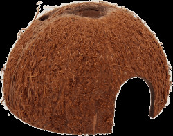 Repti Planet Úkryt Coco Shell L