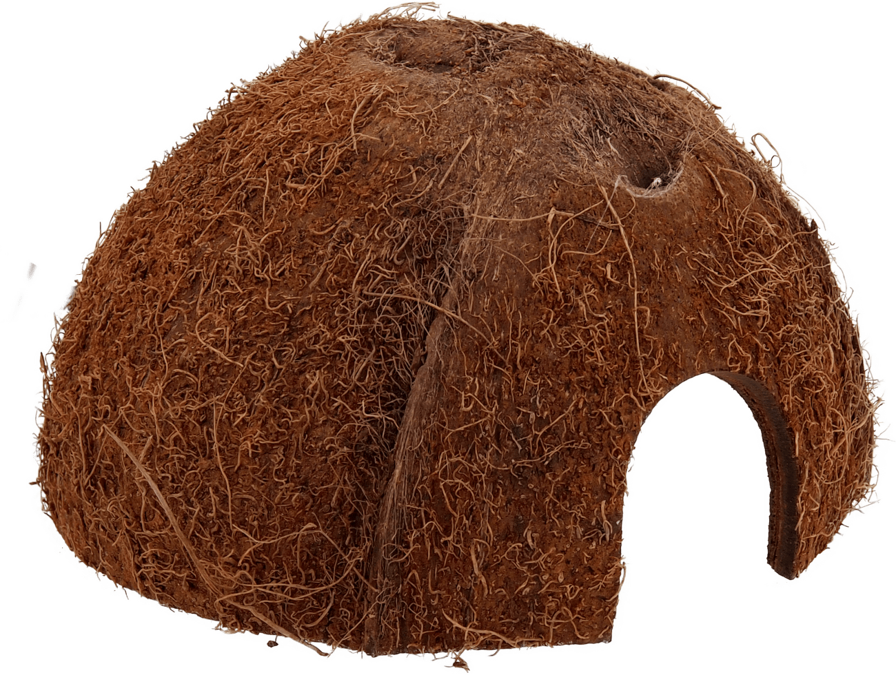 Repti Planet Úkryt Coco Shell M