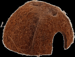Repti Planet Úkryt Coco Shell M