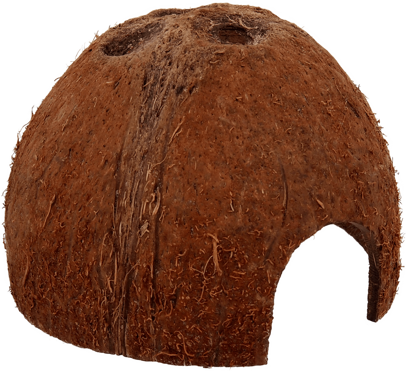 Repti Planet Úkryt Coco Shell S