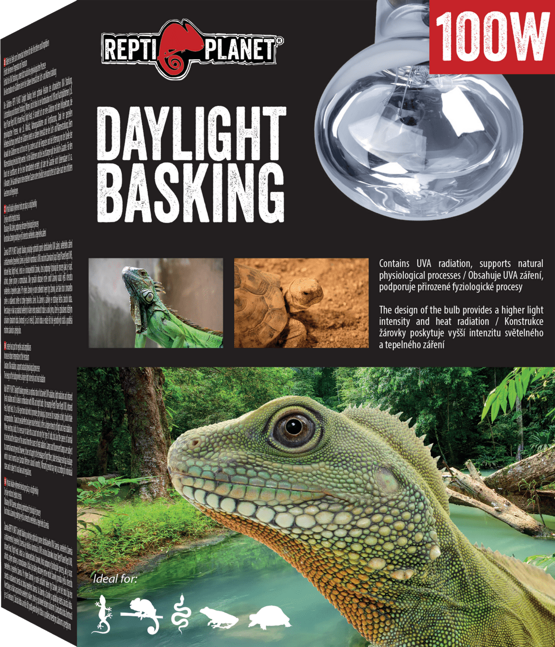 Repti Planet žárovka Daylight Basking Spot 100W