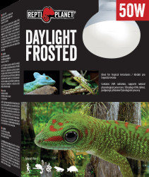 Repti Planet žárovka Daylight Frosted 50W