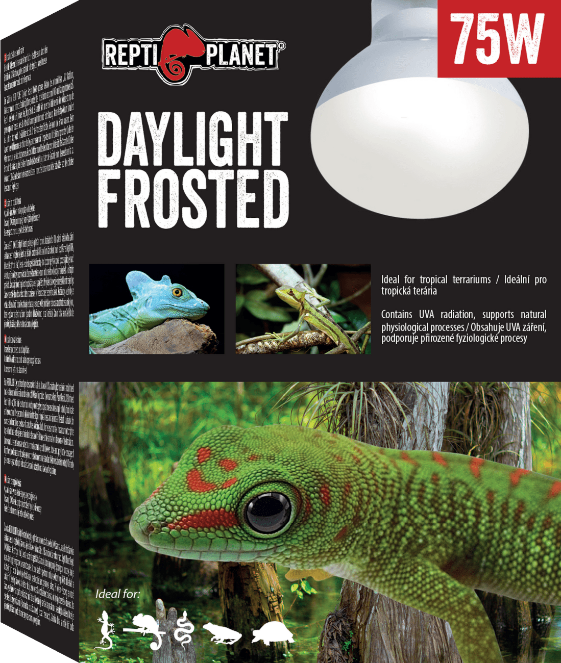 Repti Planet žárovka Daylight Frosted 75W