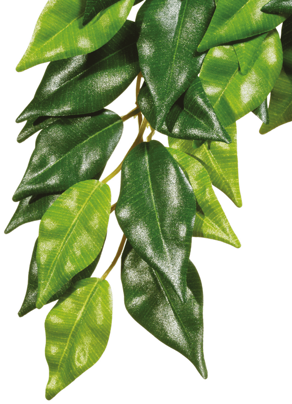 Rostlina EXO TERRA Ficus malá 45 cm
