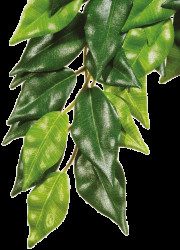 Rostlina EXO TERRA Ficus malá 45 cm