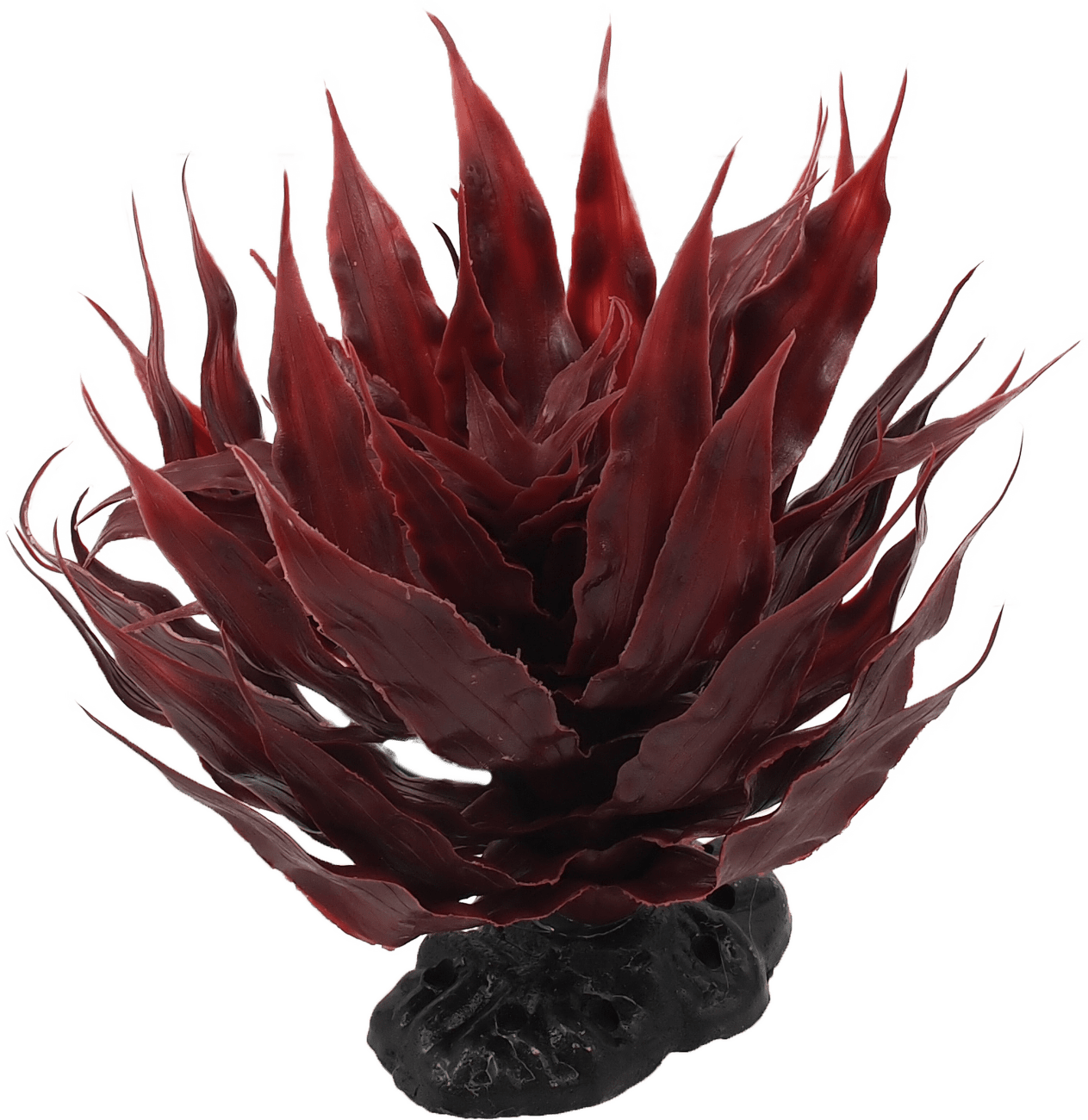 Rostlina Repti Planet sukulent Agave červená 18cm