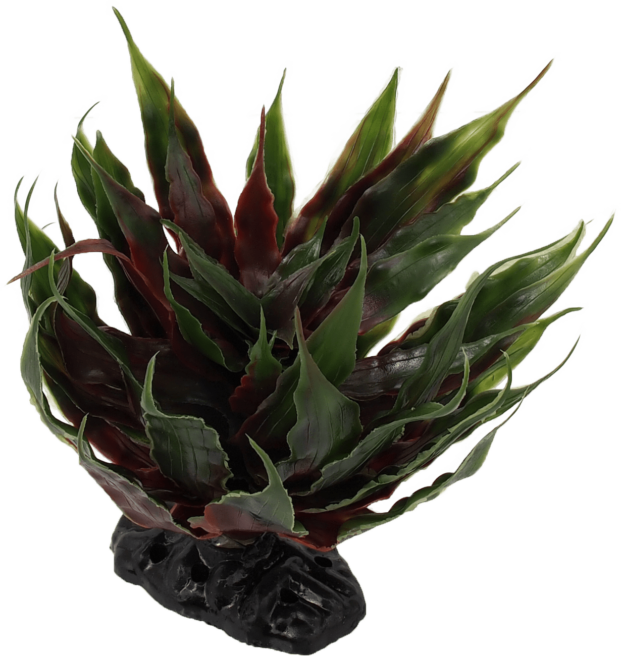 Rostlina Repti Planet sukulent Agave zelená 18cm