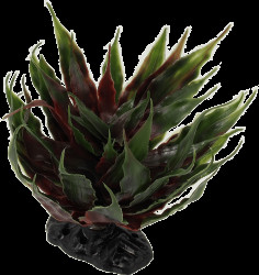 Rostlina Repti Planet sukulent Agave zelená 18cm