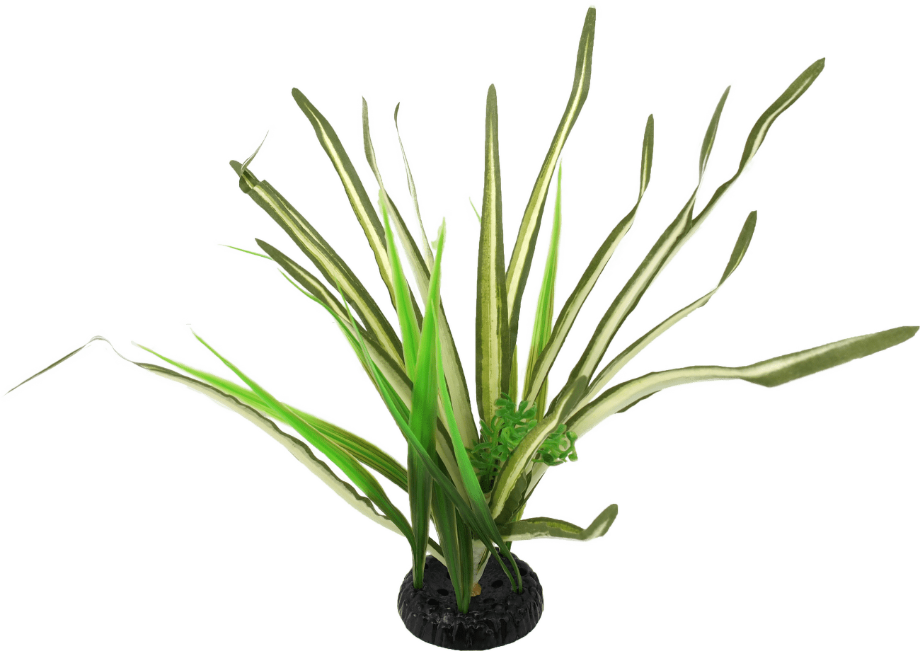 Rostlina Repti Planet travina Spartina 30cm