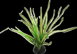 Rostlina Repti Planet travina Spartina 30cm