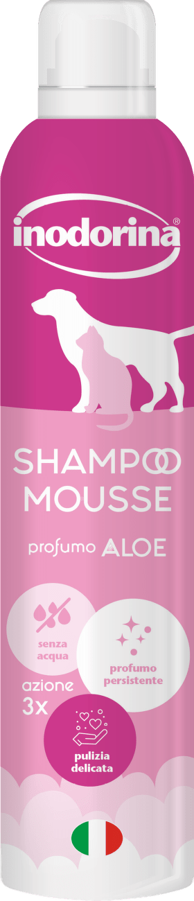Šampon Inodorina suchá pěna Aloe Vera 300ml