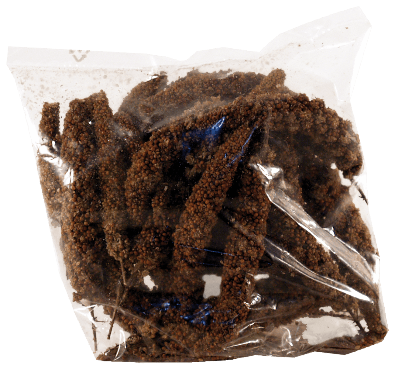 Senegalské proso Avicentra 100g