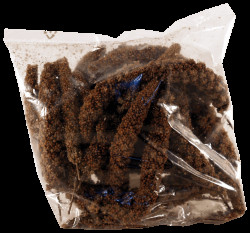 Senegalské proso Avicentra 100g