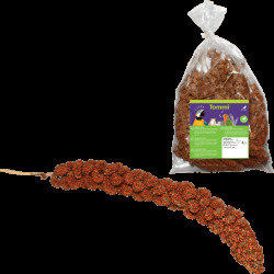 Senegalské proso klásky červené 200g