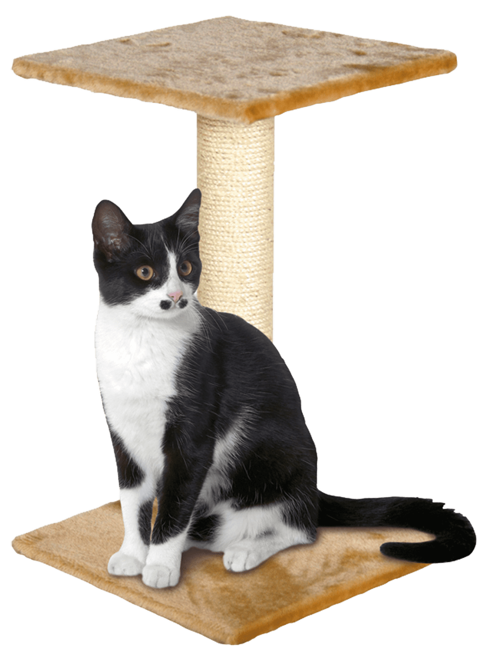 Škrabadlo Magic Cat Beata béžové 39cm