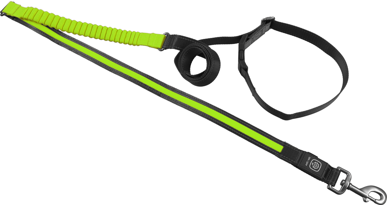 Svítící USB LED běžecké vodítko Dog Fantasy zelené 180-250cm
