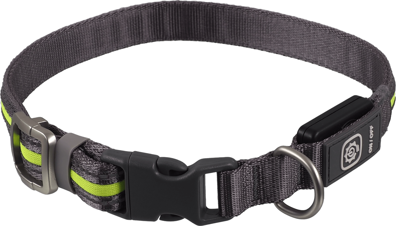 Svítící USB LED obojek Dog Fantasy M-L zelený
