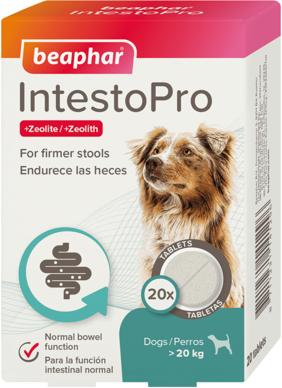 Tablety Beaphar IntestoPro L pro velké psy 20 tablet