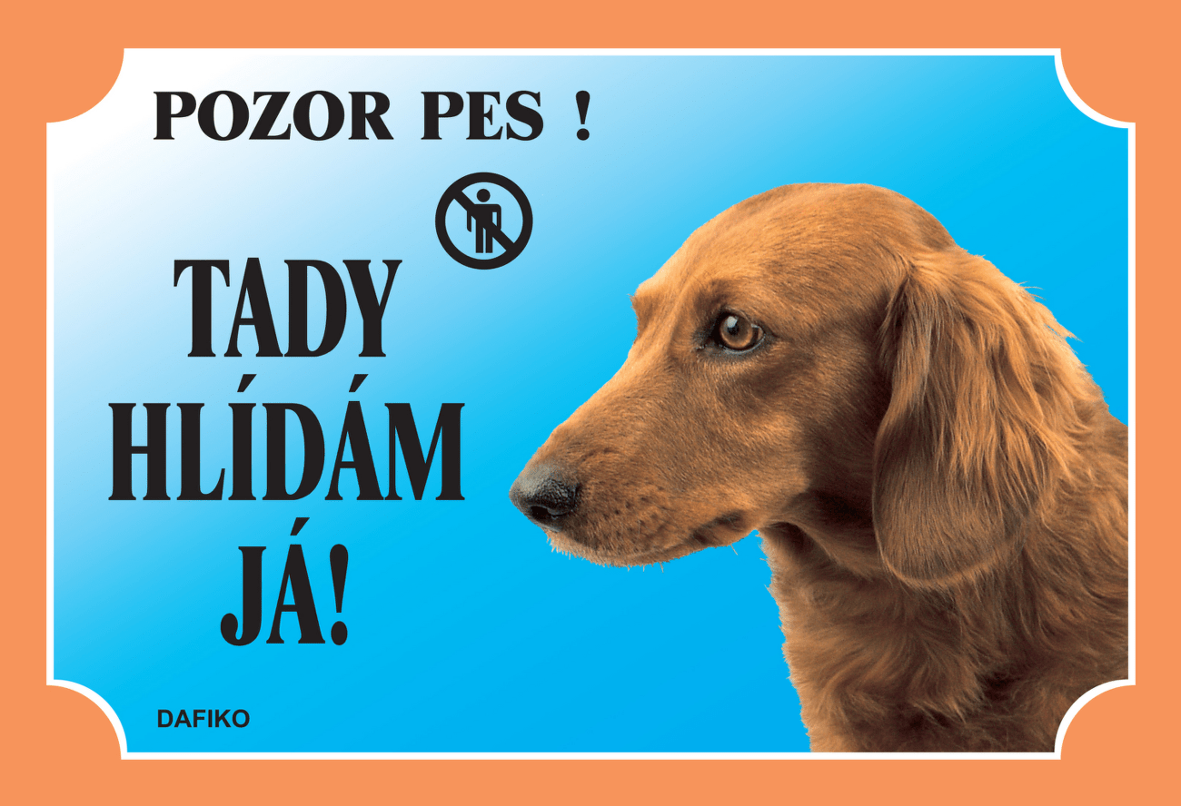 Tabulka Dafiko jezevčík dlouhosrstý