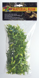Terarijní rostlina Zoomed Bolivian Croton M