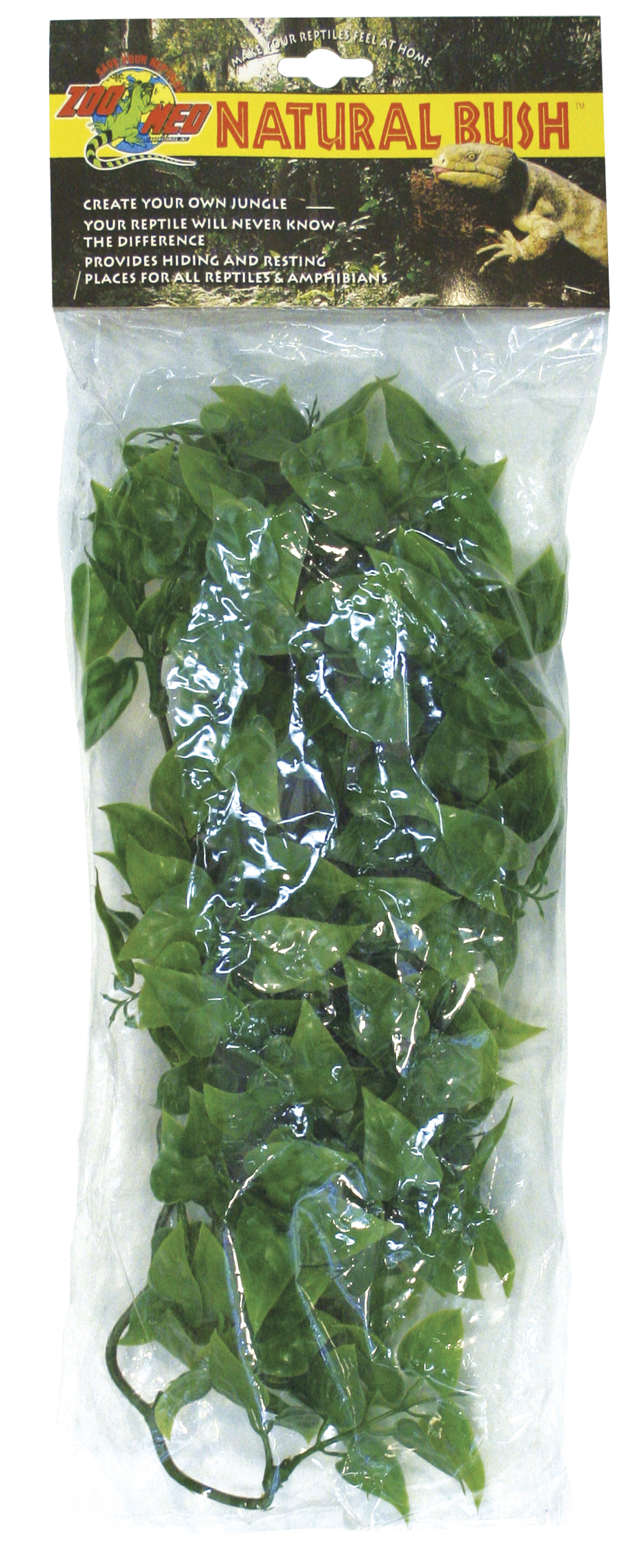 Terarijní rostlina Zoomed Mexican Phyllo M