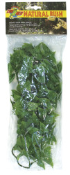 Terarijní rostlina Zoomed Mexican Phyllo M