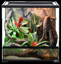Terárium Repti Planet 60x45x60cm