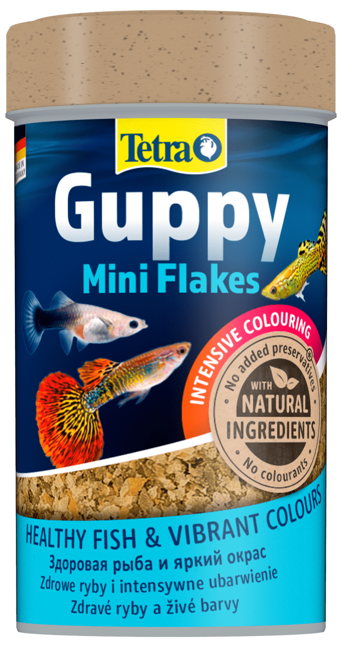 TETRA Guppy Food 100ml