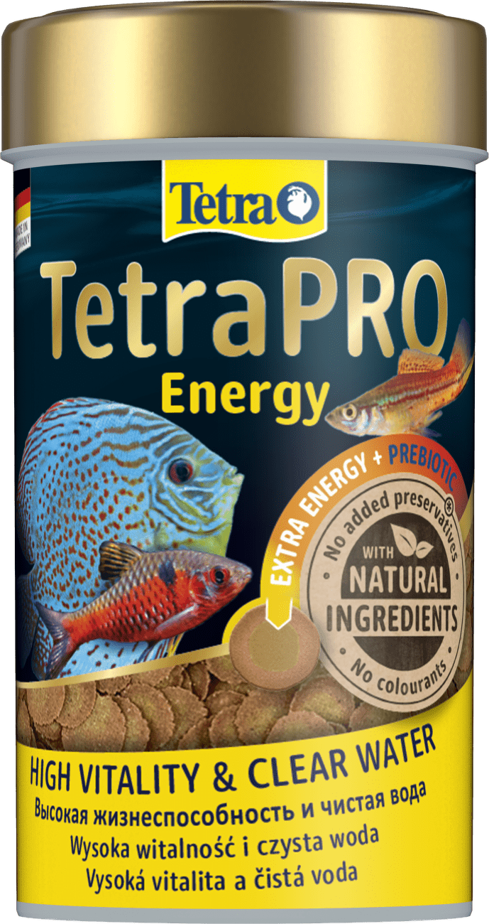 TETRA Pro Energy 100ml
