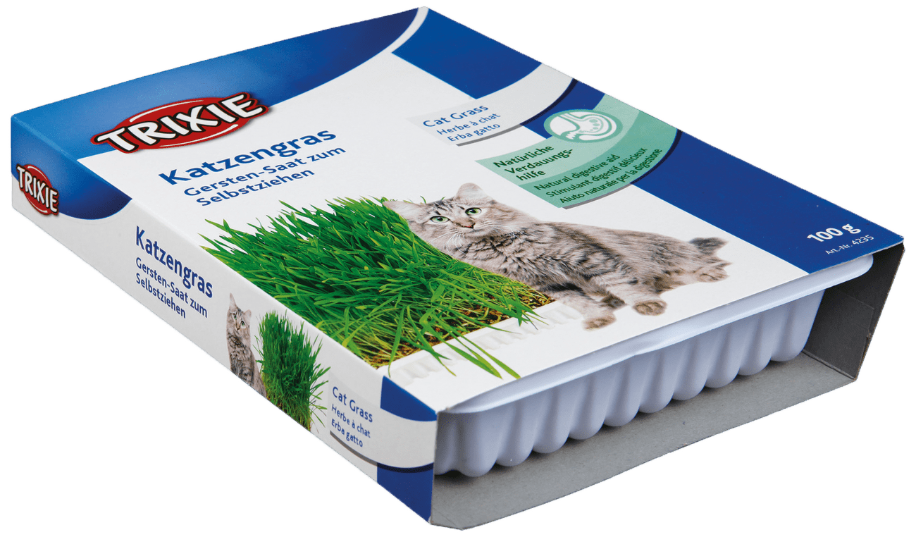 Tráva pro kočky Trixie miska 100g