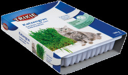 Tráva pro kočky Trixie miska 100g