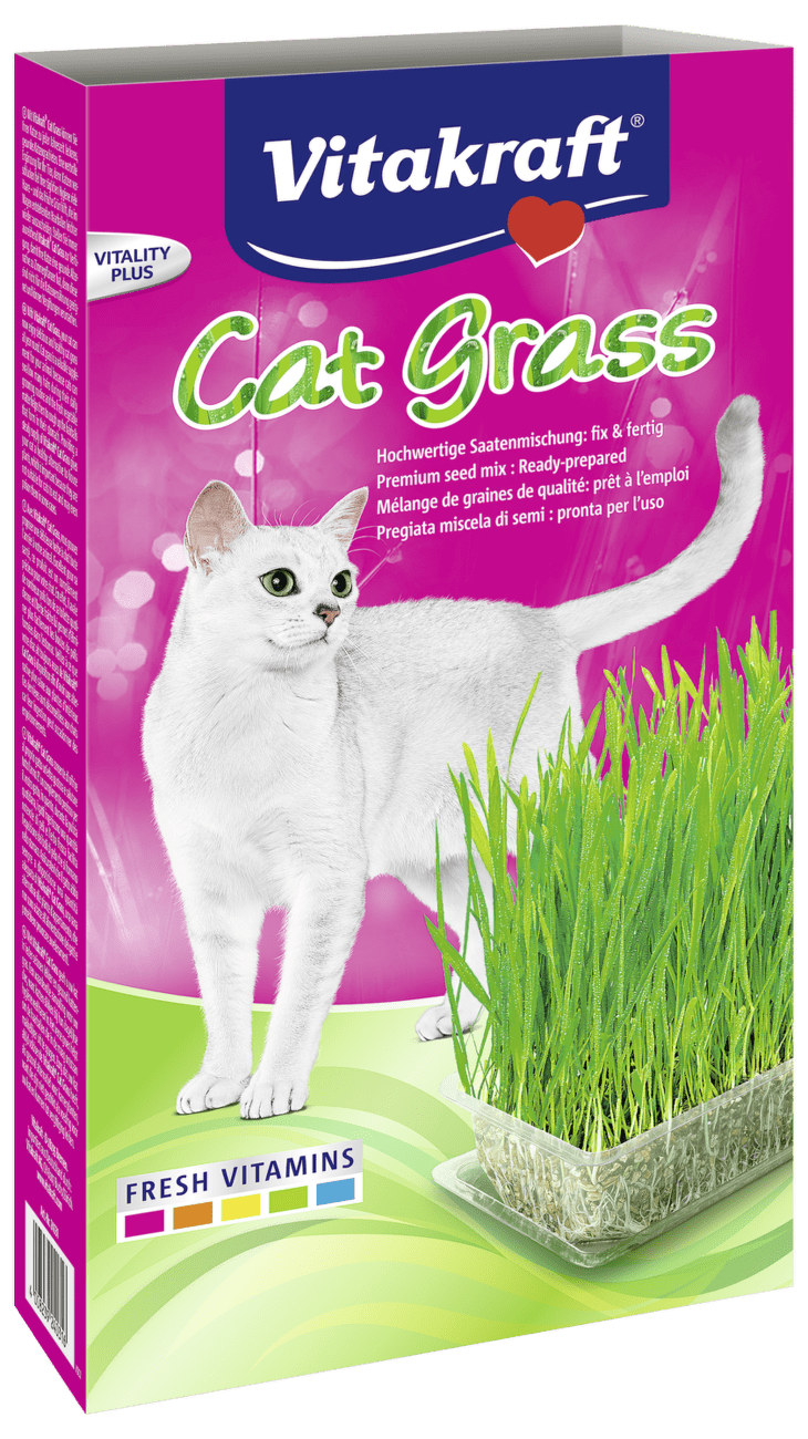 Tráva pro kočky Vitakraft Cat Grass 120g